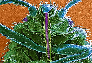 国产心理恐怖游戏《18层》上架Steam 类P.T.玩法